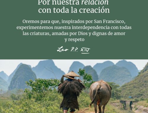 Vídeo del Papa’ de setembre a la relació de l’ésser humà amb la creació