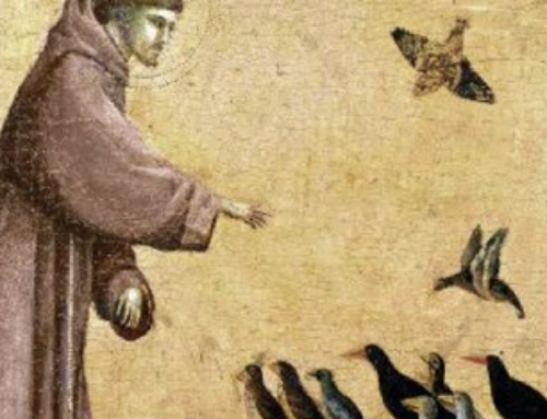 Propostes d’advent des del Departament d’Ecologia integral