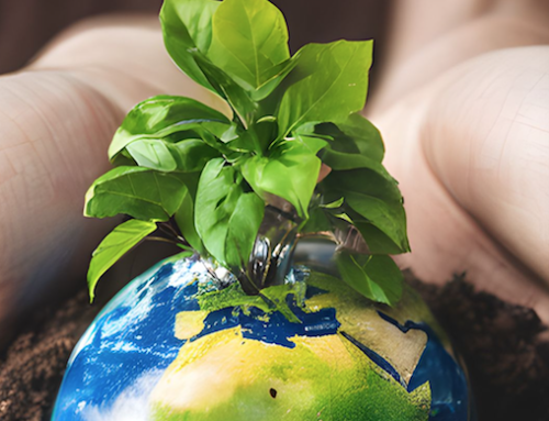 SETMANA LAUDATO SI’ 2026